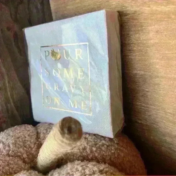 NEW 40 Count 3 ply beverage napkins - POUR SOME GRAVY ON ME! - Picture 4 of 6